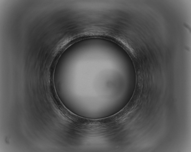 X0000091990631200709061221
