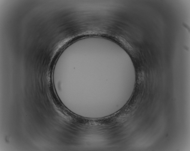 X0000091990632200709061221