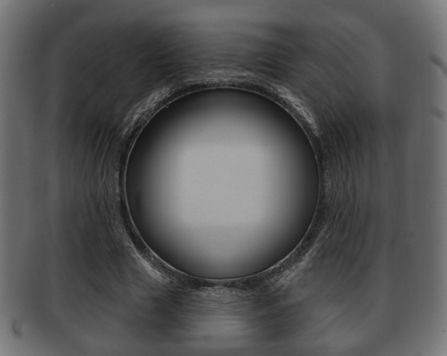 X0000091990633200709061221