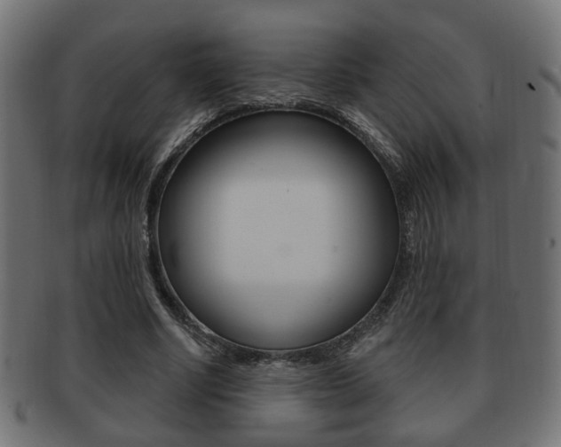 X0000091990634200709061221
