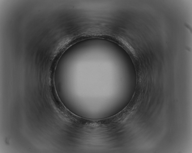 X0000091990635200709061221