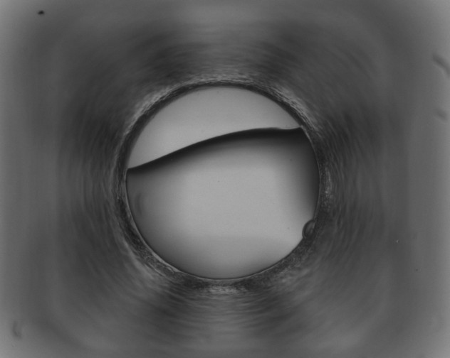 X0000091990636200709061221