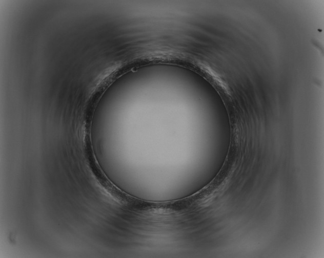 X0000091990637200709061221