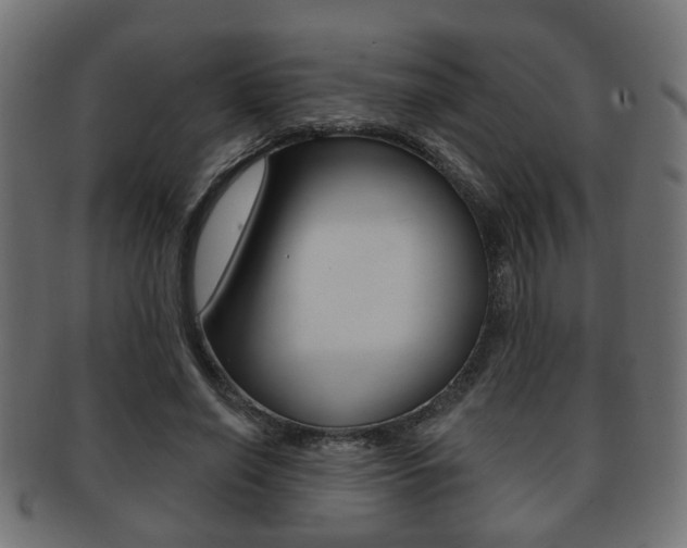 X0000091990638200709061221