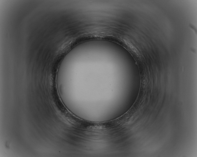 X0000091990639200709061221