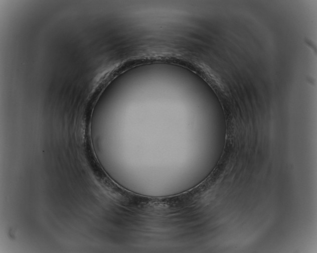 X0000091990640200709061221