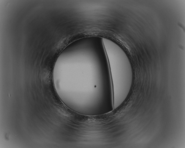 X0000091990641200709061221