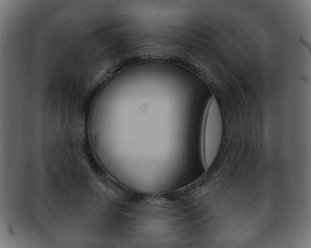 X0000091990642200709061221