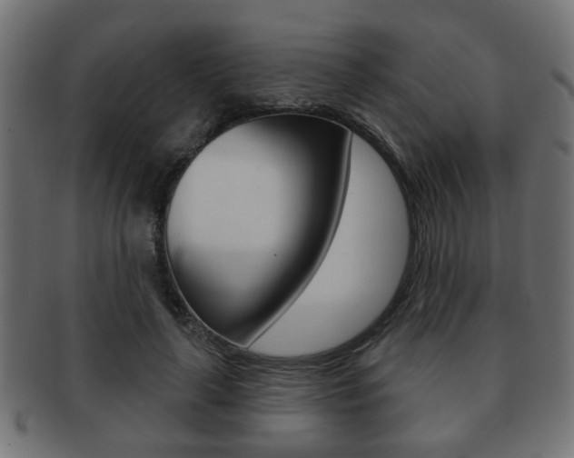X0000091990643200709061221