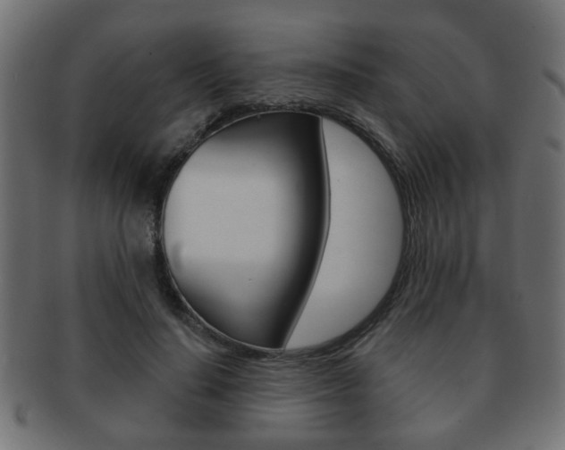 X0000091990644200709061221