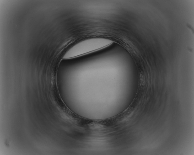 X0000091990648200709061222