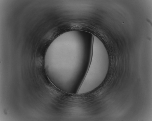 X0000091990649200709061222