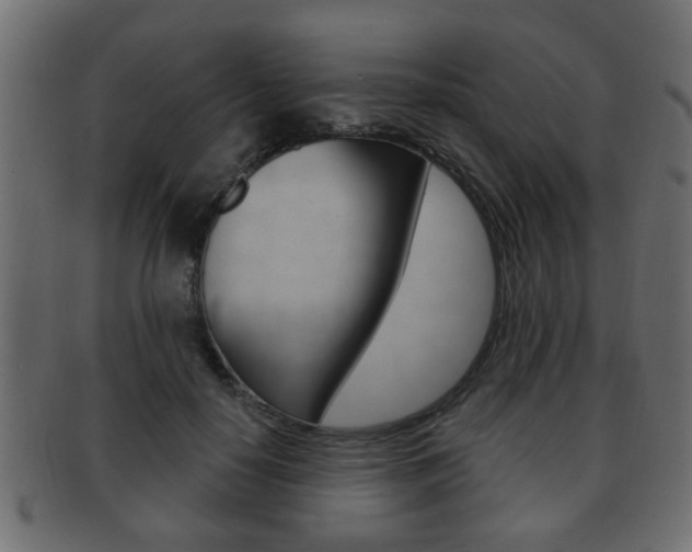 X0000091990650200709061222