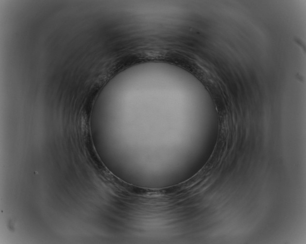 X0000091990651200709061222