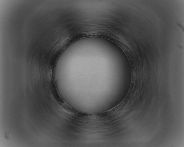 X0000091990652200709061222