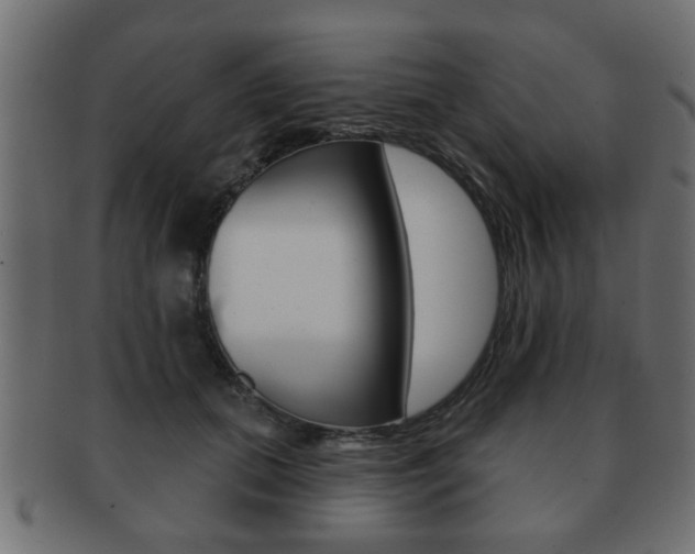 X0000091990655200709061222