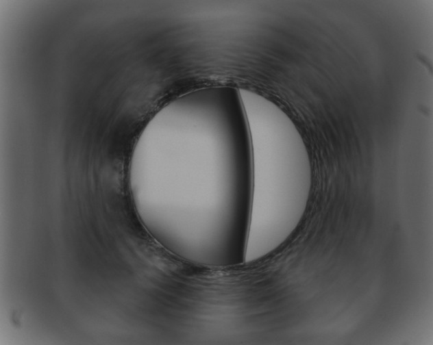 X0000091990656200709061222