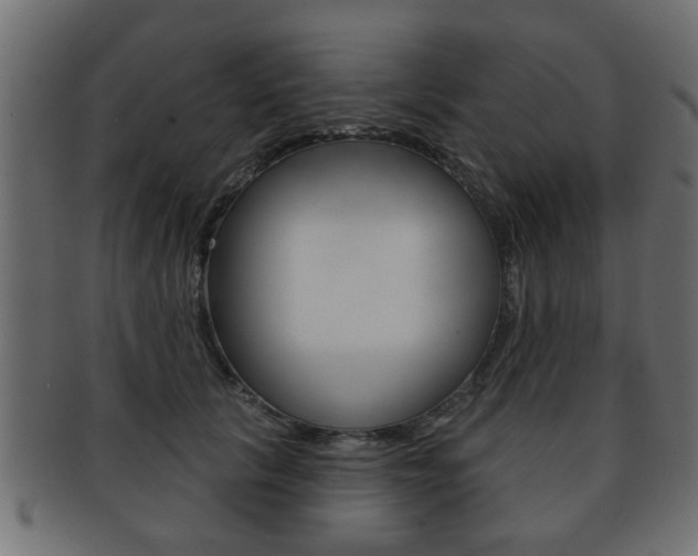 X0000091990657200709061222