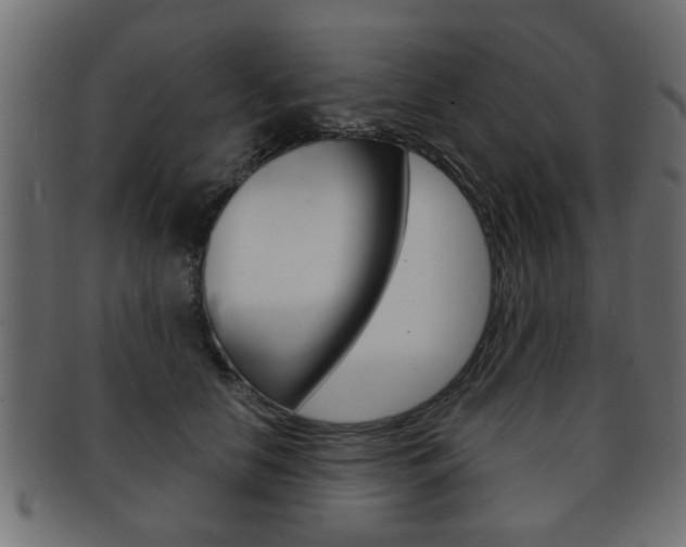 X0000091990658200709061222
