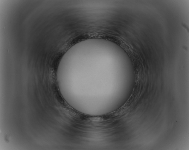 X0000091990659200709061222