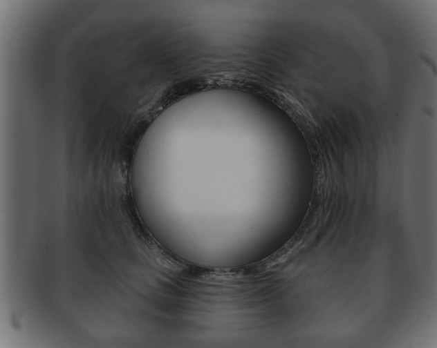 X0000091990661200709061222