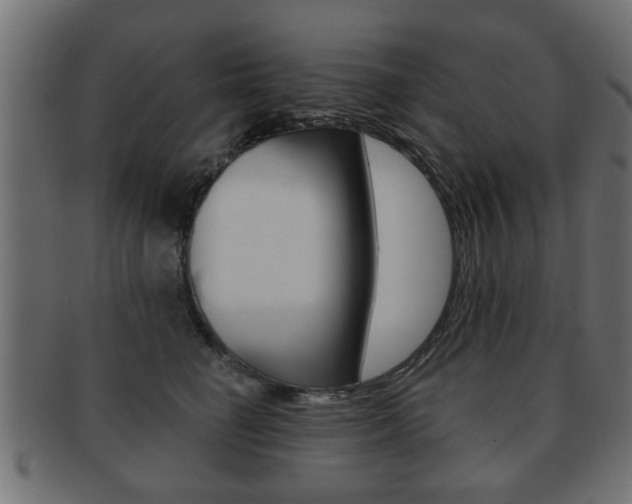 X0000091990662200709061222