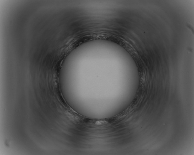 X0000091990663200709061222