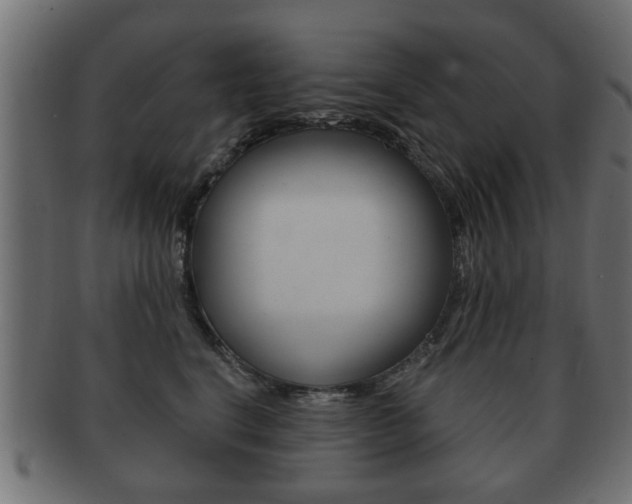 X0000091990664200709061222