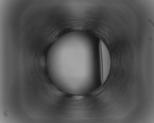 X0000091990665200709061222
