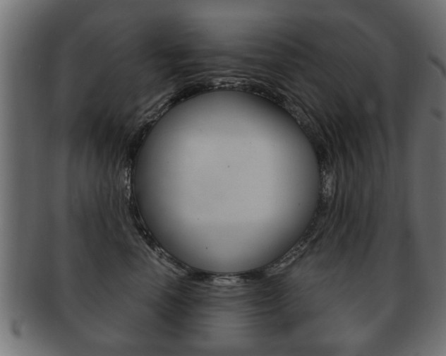 X0000091990666200709061222