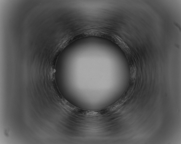 X0000091990669200709061222