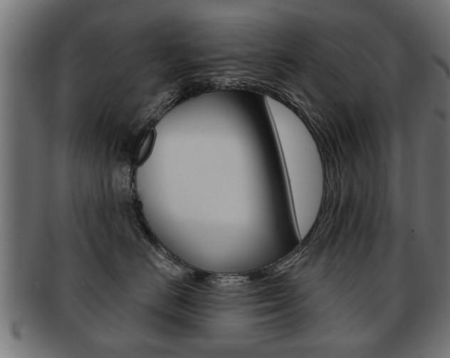 X0000091990670200709061222