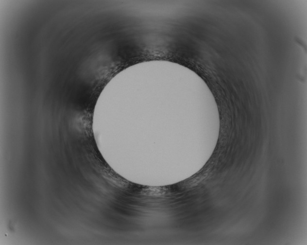 X0000091990672200709061222