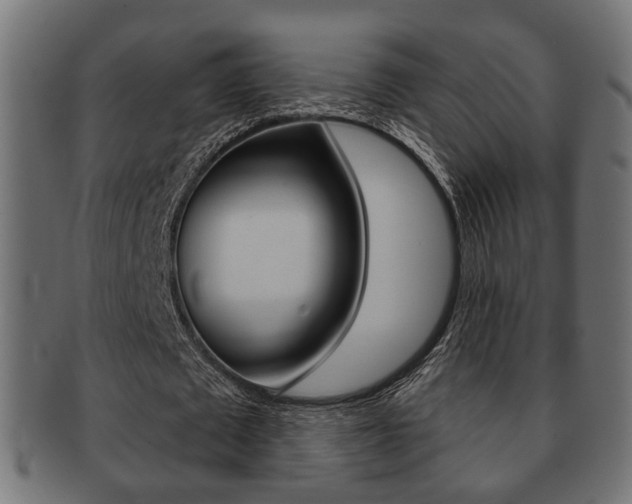 X0000091990673200709061221