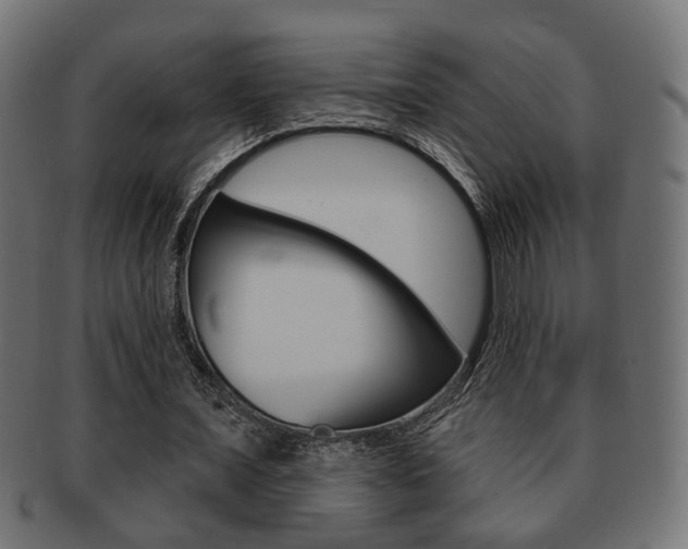 X0000091990675200709061221