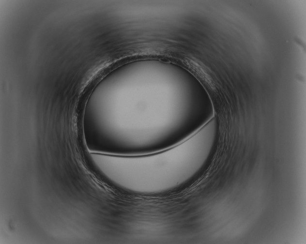 X0000091990676200709061221