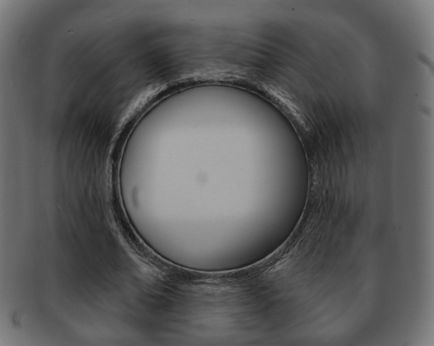 X0000091990678200709061221