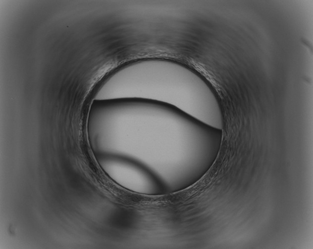 X0000091990679200709061221