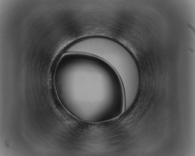 X0000091990680200709061221