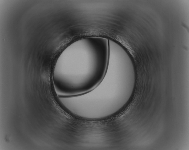 X0000091990681200709061221
