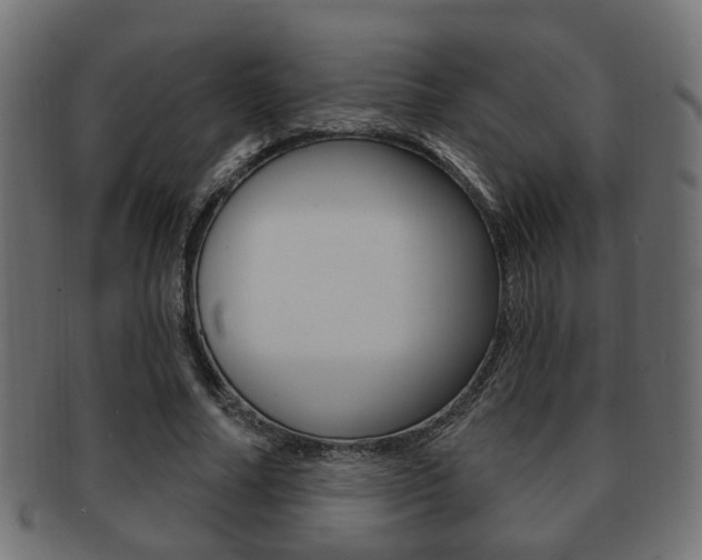 X0000091990682200709061221