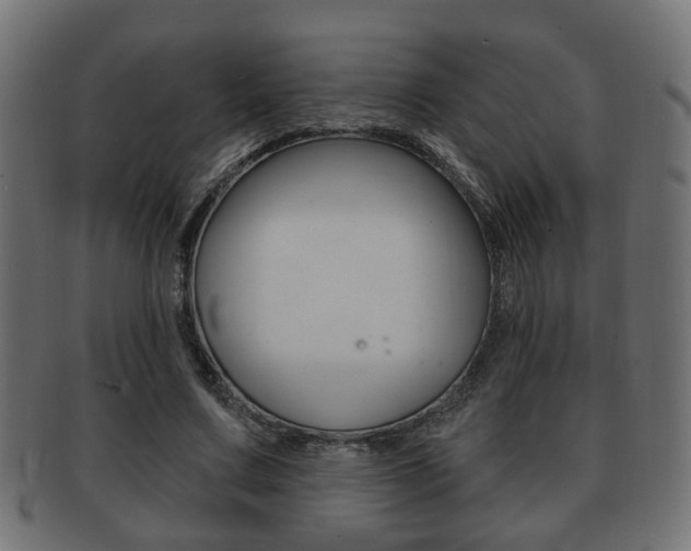 X0000091990683200709061221
