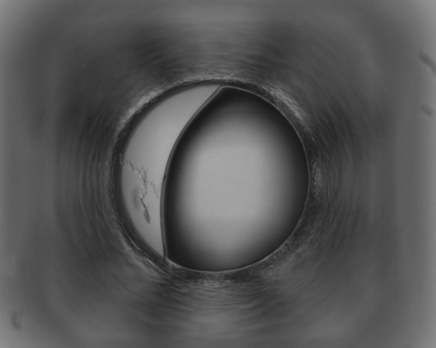 X0000091990684200709061221