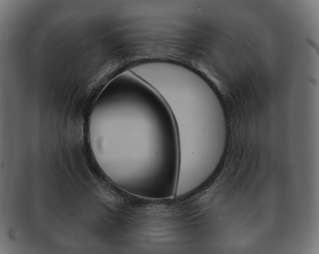 X0000091990685200709061221