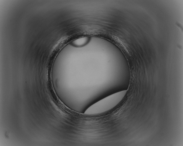 X0000091990686200709061221