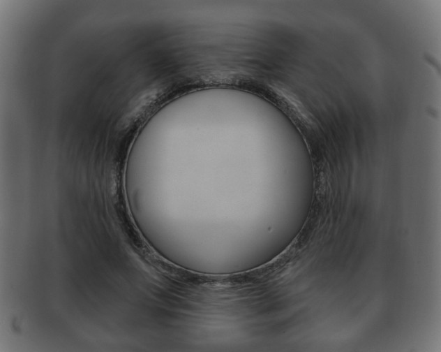 X0000091990687200709061221