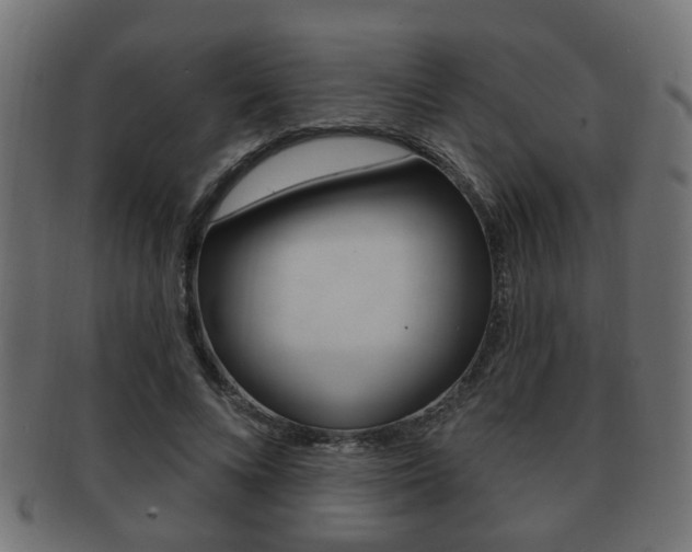 X0000091990688200709061221