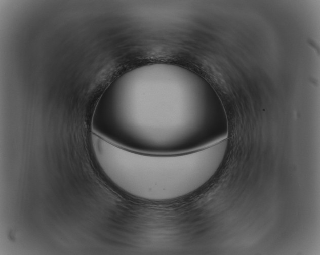 X0000091990689200709061221