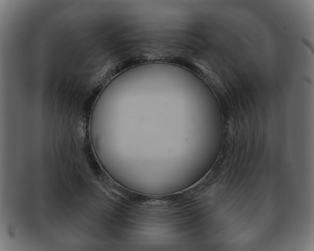 X0000091990691200709061221