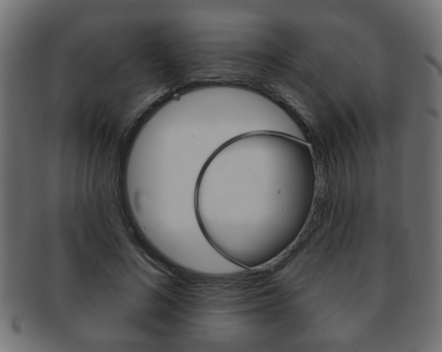 X0000091990692200709061221